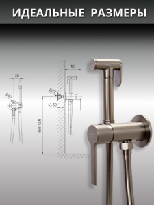 Гигиенический душ со смесителем AVS Elegant оружейная сталь